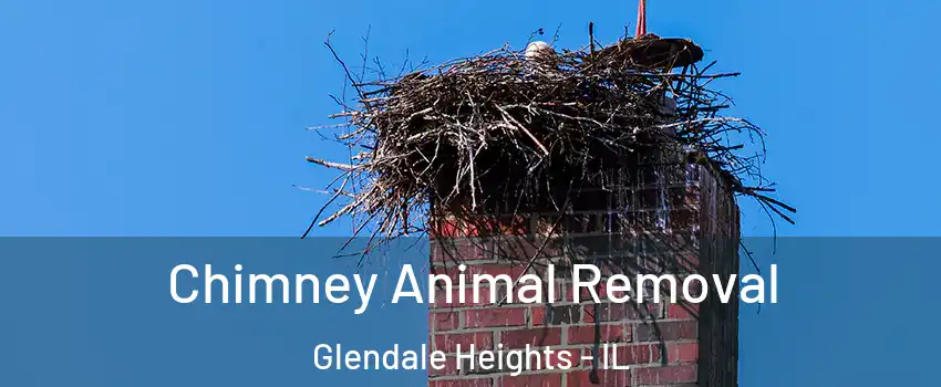  Chimney Animal Removal Glendale Heights - IL