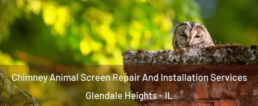  Chimney Animal Screen Repair And Installation Services Glendale Heights - IL