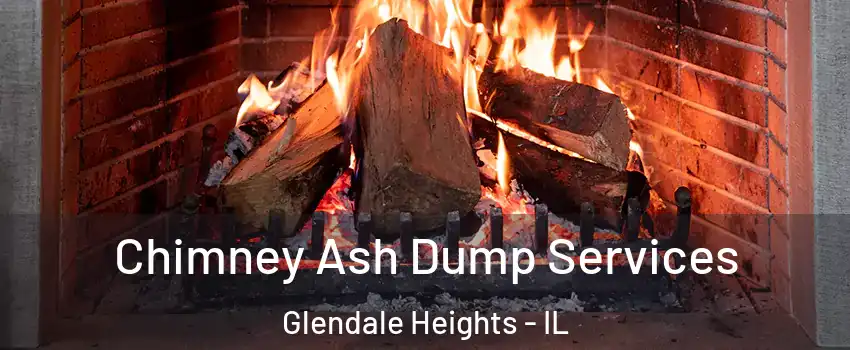  Chimney Ash Dump Services Glendale Heights - IL