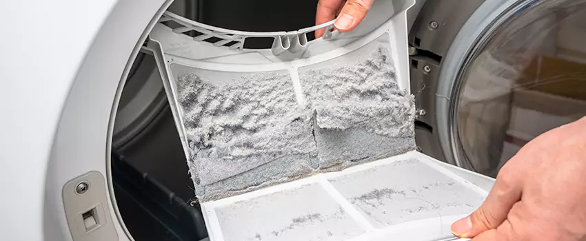 Best Dryer Lint Removal Company in Glendale Heights, Illinois