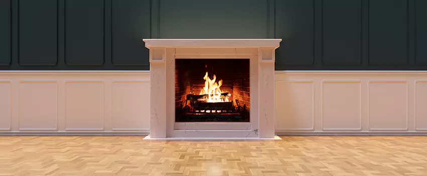Napoleon Electric Fireplaces Inspection Service in Glendale Heights, Illinois