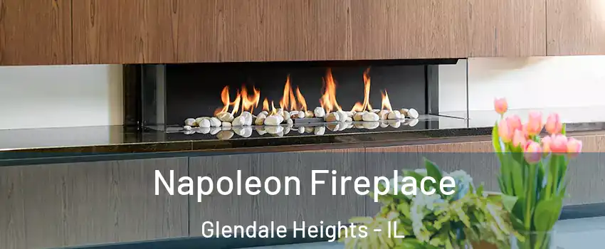  Napoleon Fireplace Glendale Heights - IL